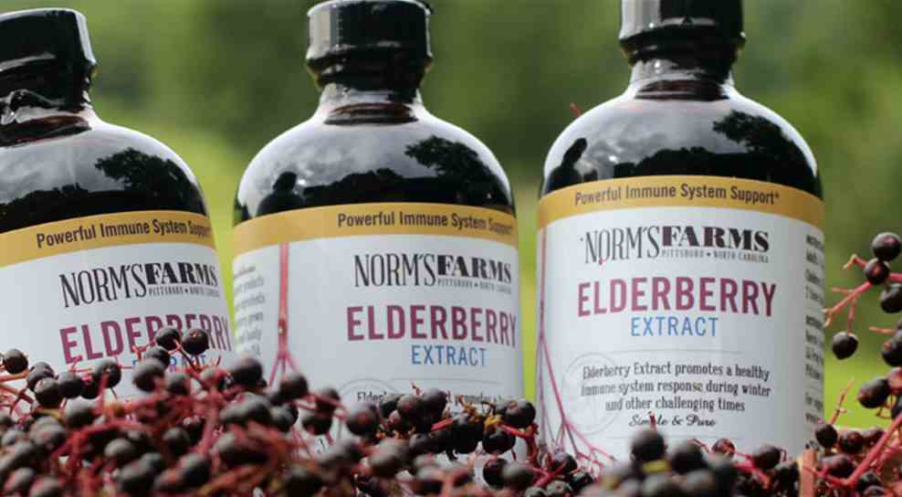 HughesNet for Business Helps Norm’s Farms Share the Healing Power of Elderberries